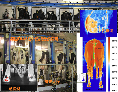 VIONA�F�t�ھ��t��������ϵ�y